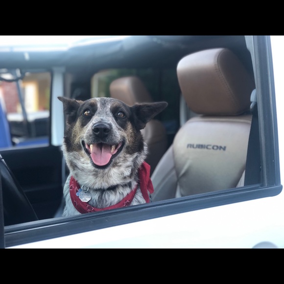 Meet your Posher, Debbie - Picture 2 of 4